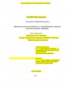 Продвижение рекламы товаров/услуг в сети Интернет на примере мебельной компании «Mebellena»