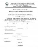 Управление инвестиционной деятельностью на предприятиях АПК в условиях технологического суверенитета (на материалах АО "Птицефабрика Ва