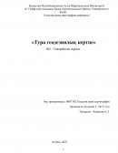 Тура геодезиялық кертпе