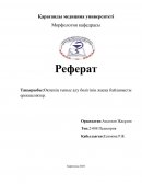 Өкпенің тыныс алу бөлігінің жасқа байланысты ерекшеліктер