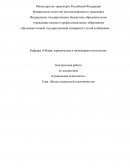 Виды социальной идентичности Виды социальной идентичности