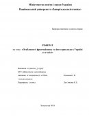 Особливості франчайзингу та його приклади в Україні та в світі