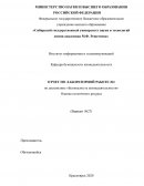 Оценка остаточного ресурса