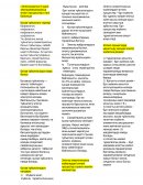 Электромагнитті және электромеханикалық өтпелі процесстер