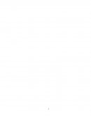 Бухгалтерский учет и аудит амортизации основных средств и нематериальных активов в ОАО «Могилевская фабрика мороженого» Бухгалтерский учет и аудит амортизации основных средств и нематериальных активов в ОАО «Могилевская фабрика мороженого»