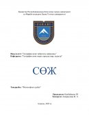 Философпен сұхбат