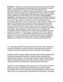 Шпаргалка по "Молекулалық биология"