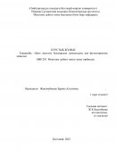 Ерте жастағы балалардың дамуындағы ана фольклорының маңызы