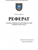 Конфуций,Сократ,ӘлФраби жән Абай ілімдеріндегі адам мәселесі Конфуций,Сократ,ӘлФраби жән Абай ілімдеріндегі адам мәселесі