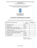 Параллель қоздыратын тұрақты ток машинасын зерттеу