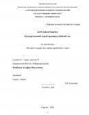 Государственный строй Германии в XIII-XIV вв