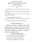 Морфология как один из разделов грамматики. Основные понятия