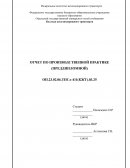 Отчет по производственной практике на базе ООО «СТМ-Сервис»