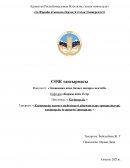 Кәсіпкерлік қызмет жүйесіндегі ұйымдастыру ерекшеліктері, кәсіпкерлік іс-әрекетті жоспарлау