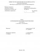 Отчет по практике в УО «ВГТУ»