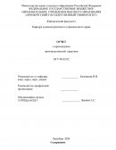 Отчет по практике в СУ СК РФ по Оренбургской области