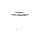 Дневник тренировок