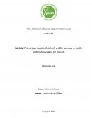 Primerjava toplotnih tehnik vročih kamnov in toplih zeliščnih snopkov pri masaži