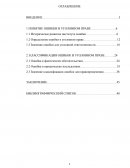 Ошибка как уголовно-правовой институт