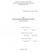 Звiт по практике у Адвоката Жили В.С.