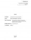 Отчет о профессиональной деятельности медицинской сестры процедурного кабинета