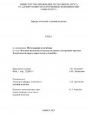 Изучение возможности выхода на рынок электронной торговли Республики Беларусь маркетплейса «Emall.by»