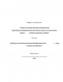 Особенности занятий школьников общеобразовательных школ в секциях по баскетболу