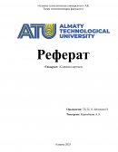 Сыраның қартаюы