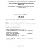 Рапс майын өндіру технологиясы және техникалық сұлбасы