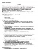 Шпаргалка по "Философии" Шпаргалка по "Философии"