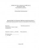 Организация производственного процесса на предприятии ОАО «Беллакт»