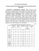 Videooqim tezligini boshqarishdagi videotasvirlarni uzatish algoritmlarini tadqiq qilish