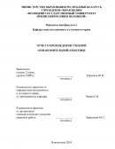 Отчет по практике в Миорском райисполкоме