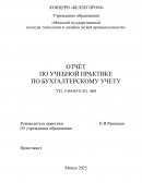 Отчет по практике по "Бухгалтерскому учету"