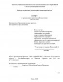 Отчёт по практике в ТОО «ДиЗАР ПЛЮС»