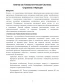 Клетка как Гомеостатическая Система: Строение и Функции