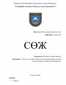 Саясатты түсіндіруге бағытталған парадигмаларды жекелеп талдауға арналған тақырыптық рефераттар