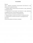 Юридическая ответственность несовершеннолетних