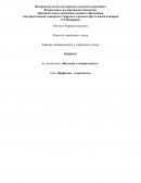 Профессия - судоводитель