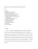 Йога: история, философия, практика и польза