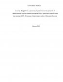 Разработка и реализация управленческих решений по эффективному использованию автомобильного транспорта организации (на примере КУП «Поп