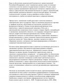 Таможня в национальной безопасности