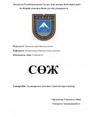 Халықаралық деңгейдегі теңсіздік көрсеткіштері