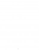 Технология производства говядины на промышленной основе Технология производства говядины на промышленной основе