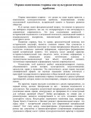 Охрана памятников старины как культурологическая проблема