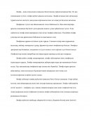 Лимфа Лимфа