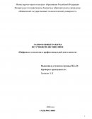 Производственные и информационные системы. ИС как система управления Производственные и информационные системы. ИС как система управления
