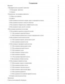 Клиническое исследование кота