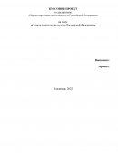 О представительстве в судах Российской Федерации