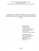 Содержание основных трудовых прав человека в нормативных актов международной организации труда
